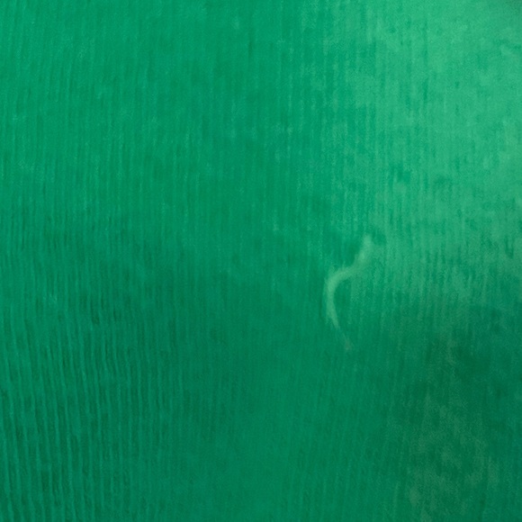 Green shamrock Irish Tee in Girls Size 7 / 8 (big kids) - Picture 4 of 5